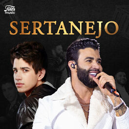 Cover of playlist Top Sertanejo 2023 ⭐ Hits Sertanejos!