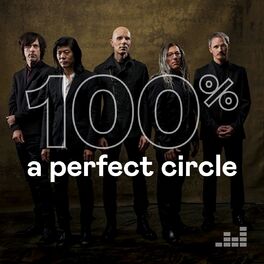 Cover of playlist 100% A Perfect Circle