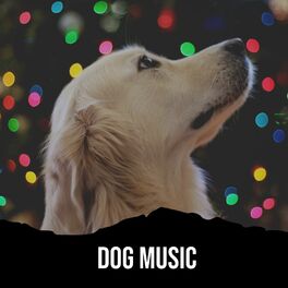 Cover of playlist Dog Music (Music to Calm Dogs) - Musique de chien