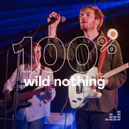 Cover of playlist 100% Wild Nothing