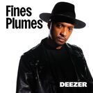 Fines Plumes