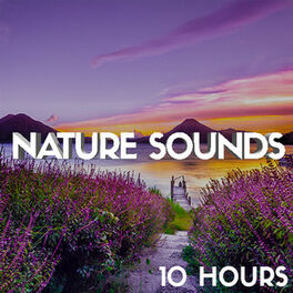 Cover of playlist Nature Sounds (10 Hours) Sons de la nature