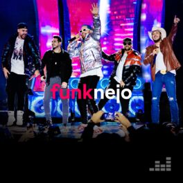 Cover of playlist Funknejo