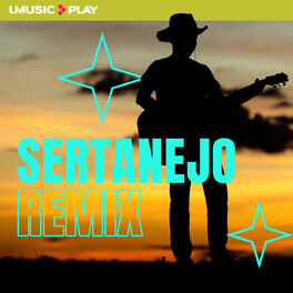 Cover of playlist Sertanejo Remix 2023