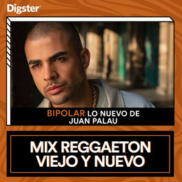 Cover of playlist Mix Reggaeton Viejo y Nuevo