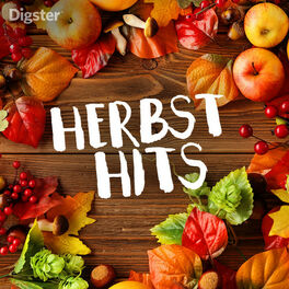 Cover of playlist Herbst Hits 2023 🍂 Herbsthits 🌂 Herbstgefühle