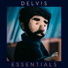 Delv!s Essentials