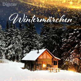Cover of playlist Wintermärchen 2022