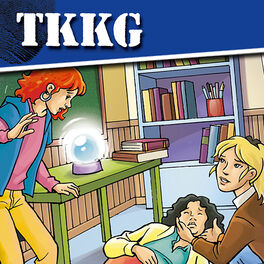 Cover of playlist TKKG - Abenteuer Fälle