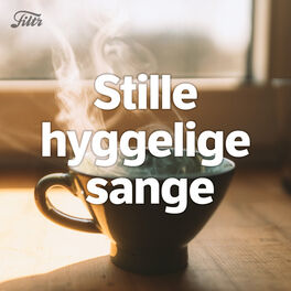 Cover of playlist STILLE HYGGELIGE SANGE
