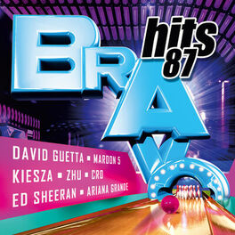 Cover of playlist BRAVO Hits 87
