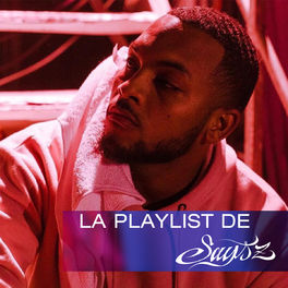 Cover of playlist La playlist de Says'z
