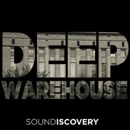 Cover of playlist DEEP WAREHOUSE | Techno Music for the Club