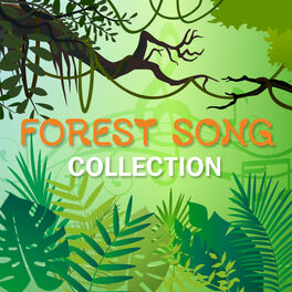 Cover of playlist Forest Song Collection