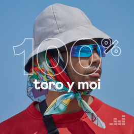 Cover of playlist 100% Toro y Moi