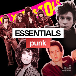 Cover of playlist Punk Essentials