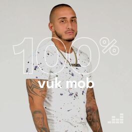 Cover of playlist 100% Vuk Mob