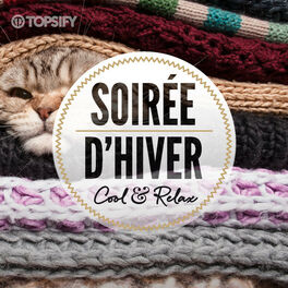 Cover of playlist Soirée D'Hiver - Cool & Relax