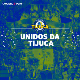 Cover of playlist Tijuca: Os Melhores Sambas de Enredo - Carnaval 20