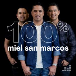 Cover of playlist 100% MIEL SAN MARCOS