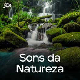 Cover of playlist ASMR | Sons da Natureza para Dormir e Relaxar