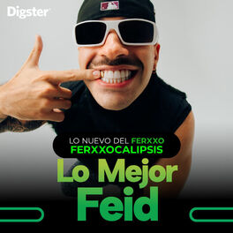 Cover of playlist Lo Mejor de Feid