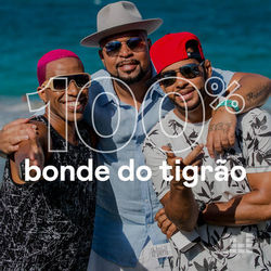 Download CD 100% Bonde do Tigrão 2020