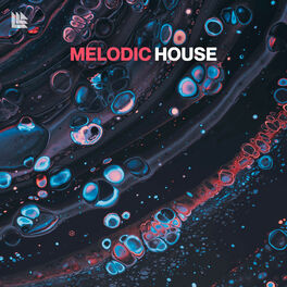Cover of playlist Melodic House 2023 🌊 Melodic Techno
