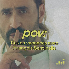 Cover of playlist pov par François Sentinelle