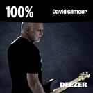 100% David Gilmour