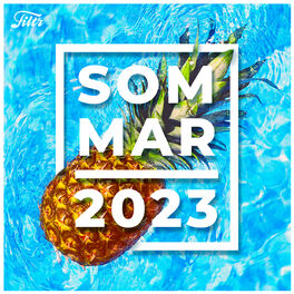 Cover of playlist SOMMAR 2023 🍍🍹 sommarhits & sommarklassiker
