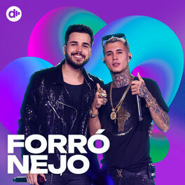 Cover of playlist Forronejo