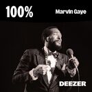 100% Marvin Gaye