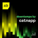 Downtempo by Catnapp