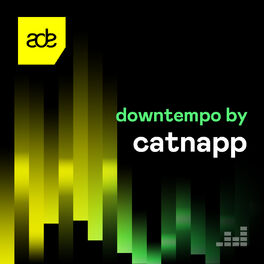 Cover of playlist Downtempo by Catnapp