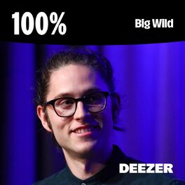 Cover of playlist 100% Big Wild