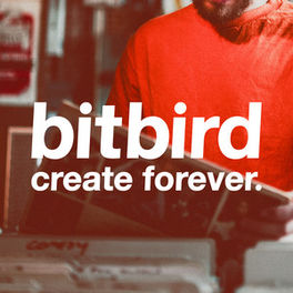 Cover of playlist bitbird releases
