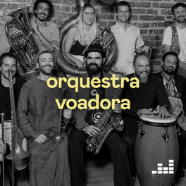 Cover of playlist Orquestra Voadora