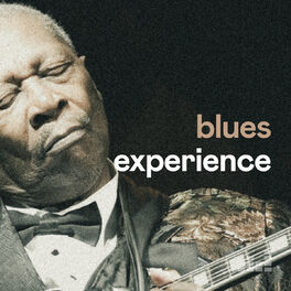 Cover of playlist Blues Experience