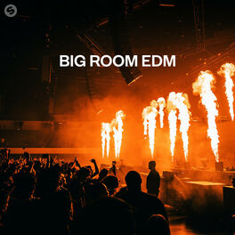 Cover of playlist Big Room EDM