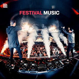 Cover of playlist Festival Songs 2024 🎇 Festival Music - Tomorrowlan