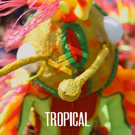 Cover of playlist Tru Thoughts Tropical