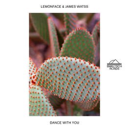 Cover of playlist Bmkltsch Rcrds Releases