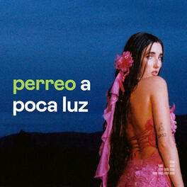 Cover of playlist Perreo A Poca Luz
