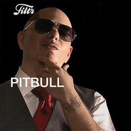 Cover of playlist Pitbull - The Best