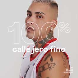 Cover of playlist 100% Callejero Fino