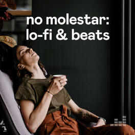 Cover of playlist No molestar: lofi & beats