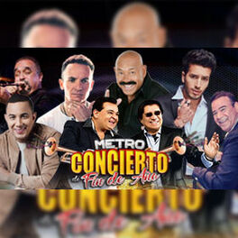 Cover of playlist METRO CONCIERTO DE FIN DE AÑO