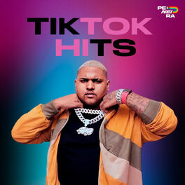 Cover of playlist Tiktok Funk 2023 🔥 Virais do Tik Tok
