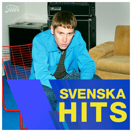 Cover of playlist SVENSKA HITS 🇸🇪
